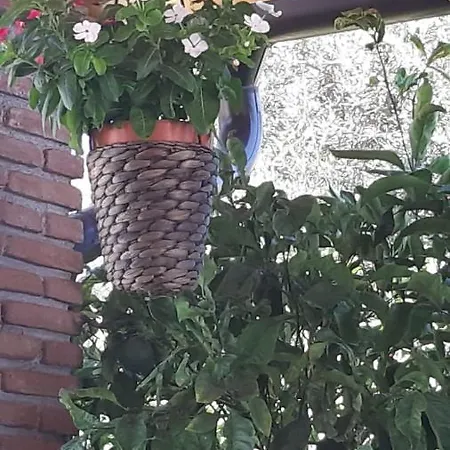 Сasa de vacaciones Casa Del Sambuco Misterbianco